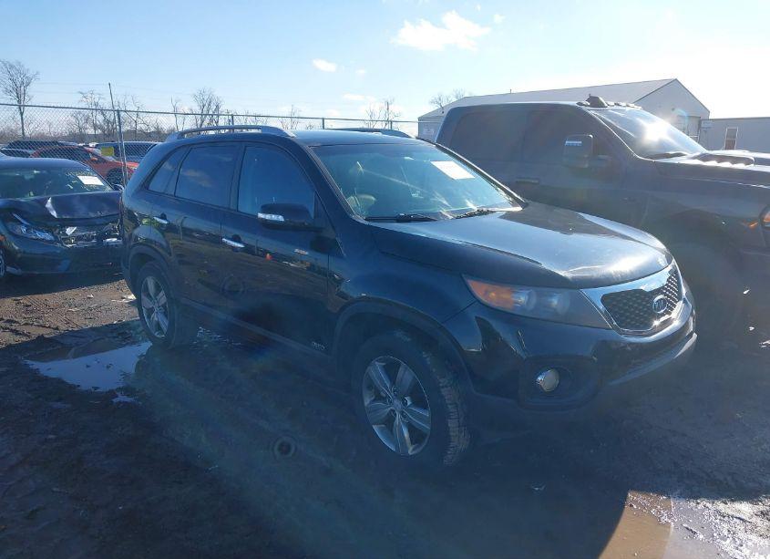 2013 Kia Sorento EX (VIN 5XYKUCA68DG343527) main photo