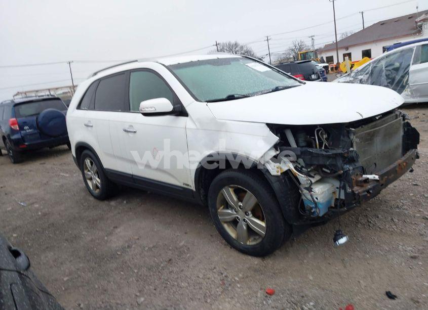 2013 Kia Sorento EX (VIN 5XYKUCA6XDG385102) main photo