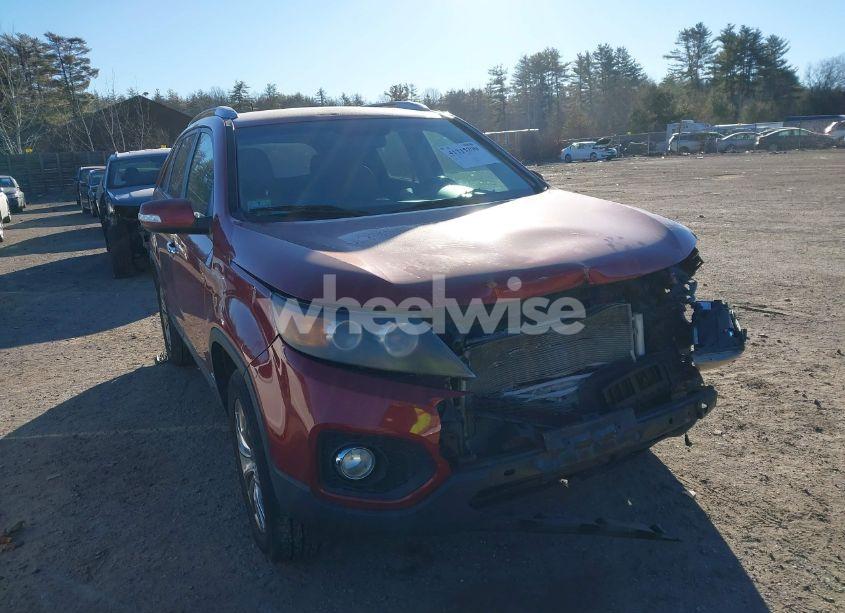 2011 Kia Sorento EX (VIN 5XYKUDA11BG036787) main photo