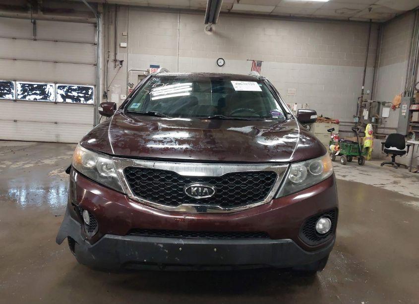 Photo 13 of 2011 Kia Sorento EX V6 (VIN 5XYKUDA23BG090584)