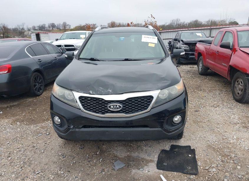 Photo 12 of 2011 Kia Sorento EX V6 (VIN 5XYKUDA25BG051706)