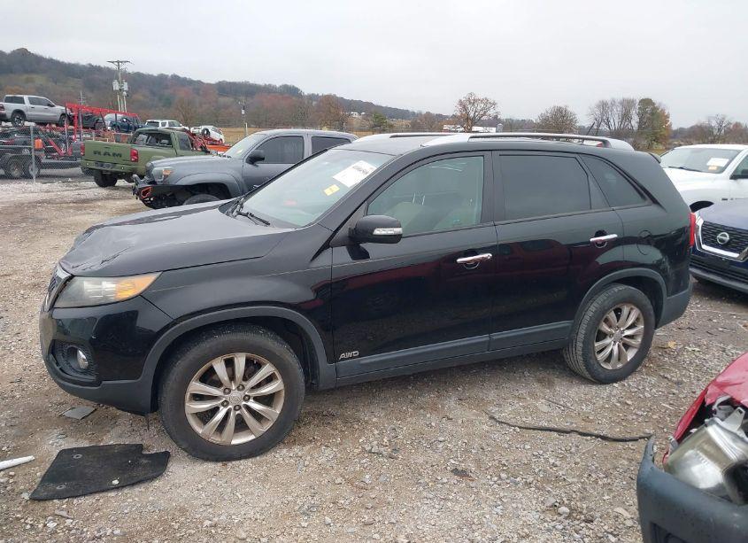 Photo 14 of 2011 Kia Sorento EX V6 (VIN 5XYKUDA25BG051706)