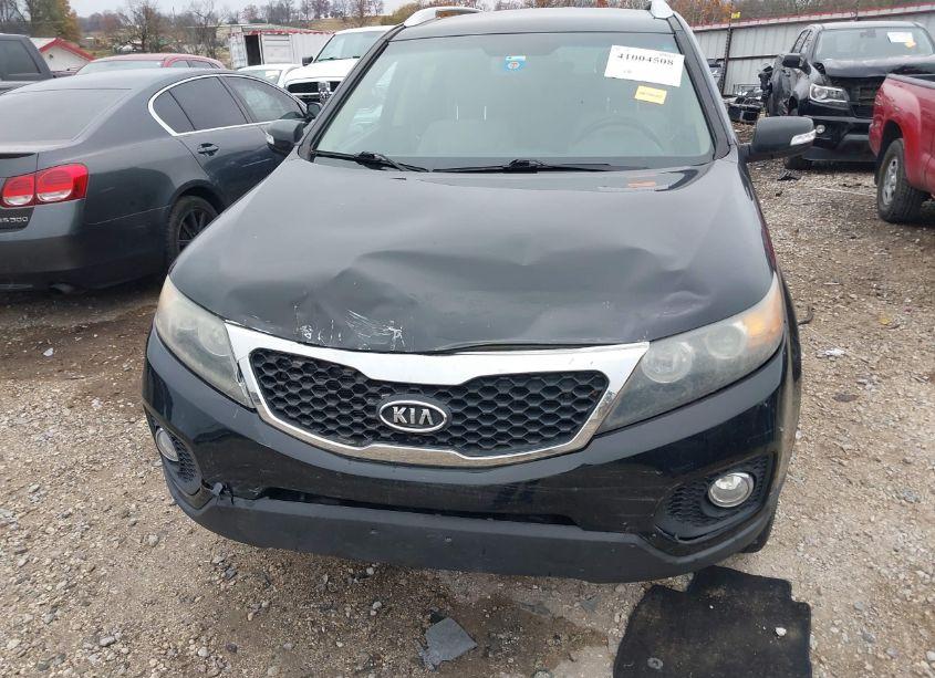 Photo 6 of 2011 Kia Sorento EX V6 (VIN 5XYKUDA25BG051706)