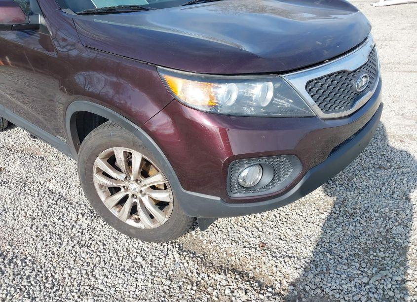 Photo 13 of 2011 Kia Sorento EX V6 (VIN 5XYKUDA26BG043386)