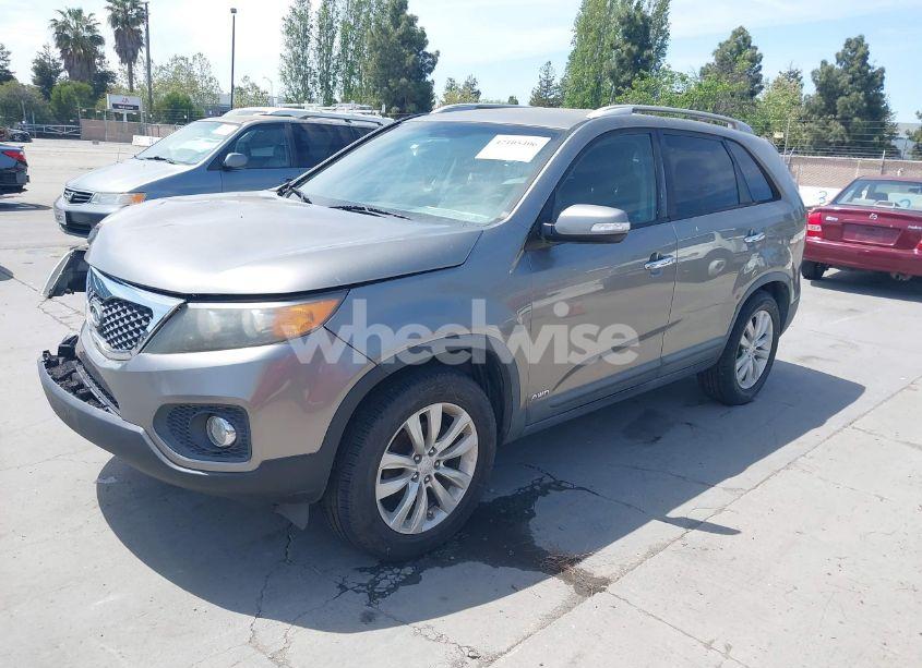 Photo 2 of 2011 Kia Sorento EX V6 (VIN 5XYKUDA29BG055919)