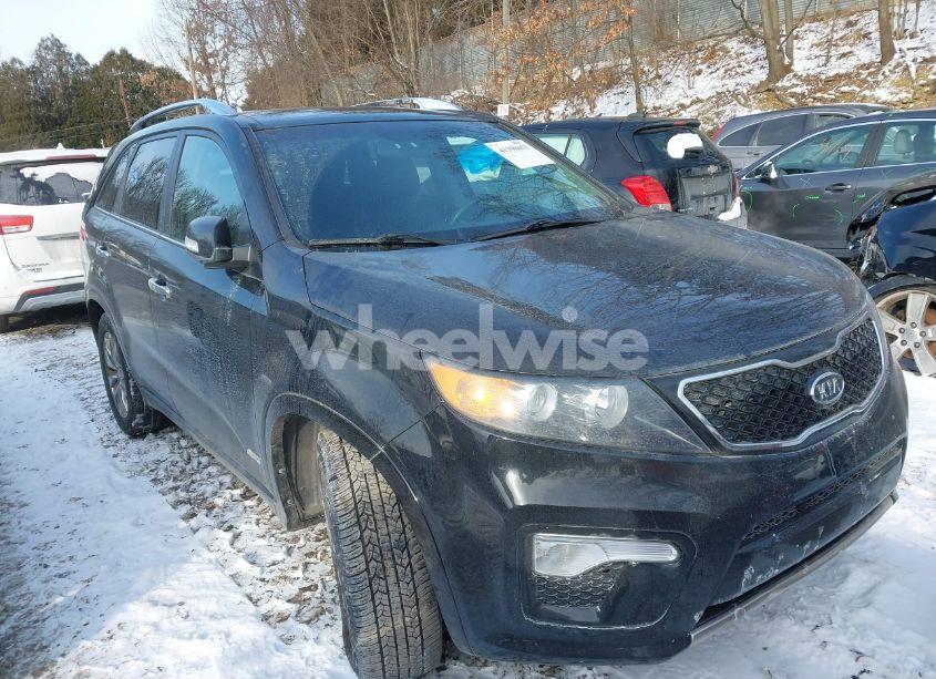 2013 Kia Sorento SX V6 (VIN 5XYKWDA29DG335501) main photo