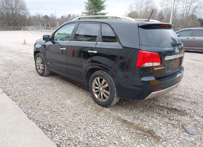 Photo 3 of 2011 Kia Sorento SX V6 (VIN 5XYKWDA2XBG094819)