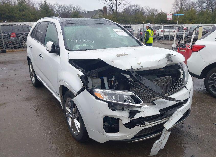 2014 Kia Sorento LIMITED V6 (VIN 5XYKWDA76EG468603) main photo