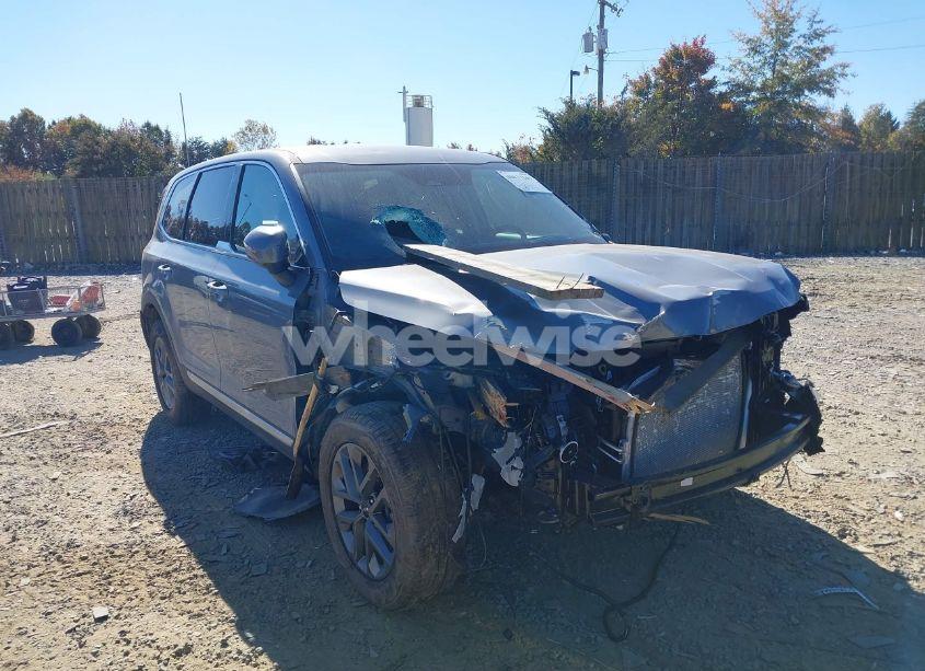 2024 Kia Telluride LX (VIN 5XYP24GC0RG564089) main photo