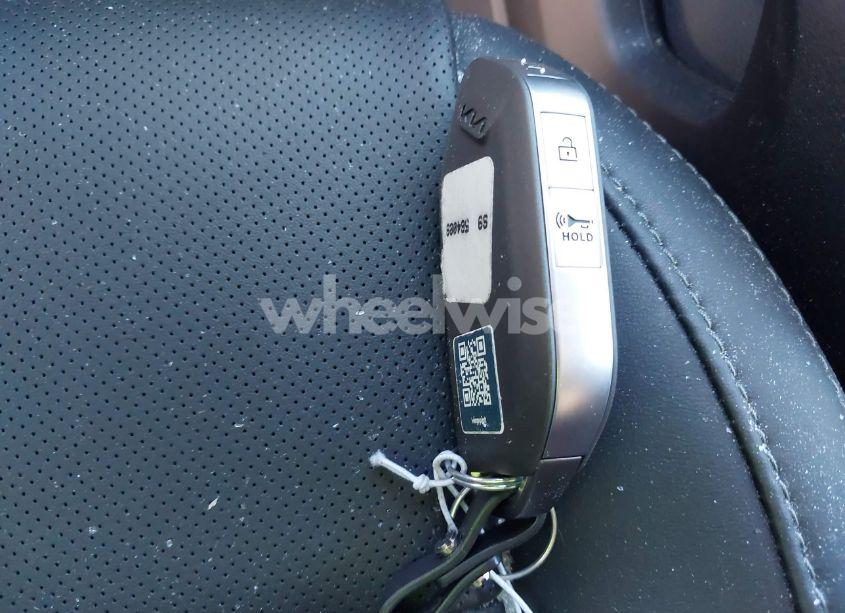 Photo 11 of 2024 Kia Telluride LX (VIN 5XYP24GC0RG564089)