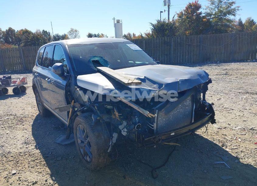 Photo 6 of 2024 Kia Telluride LX (VIN 5XYP24GC0RG564089)