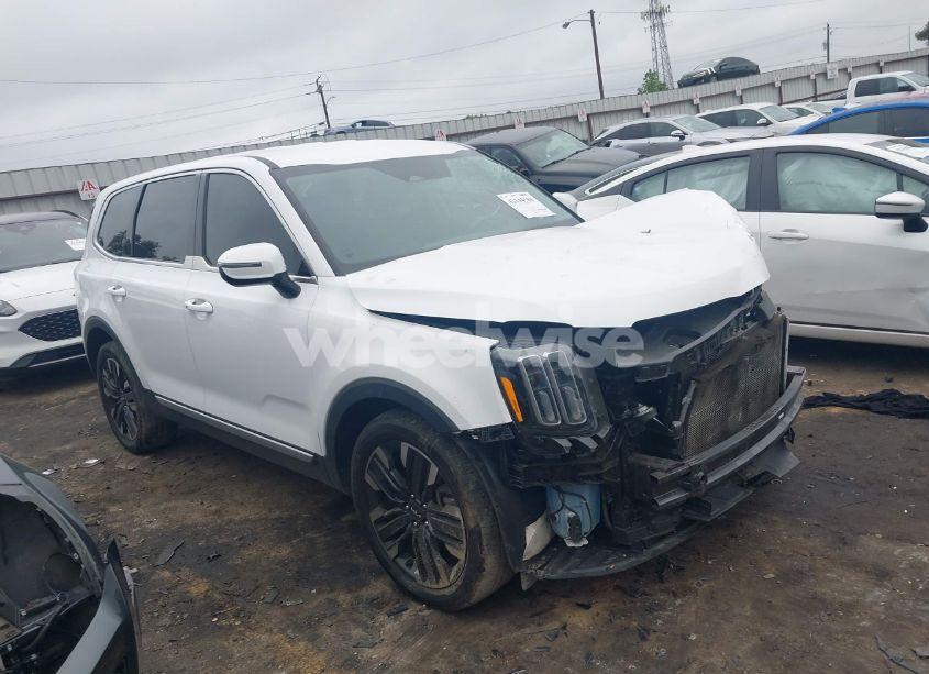 2024 Kia Telluride LX (VIN 5XYP24GC1RG411138) main photo