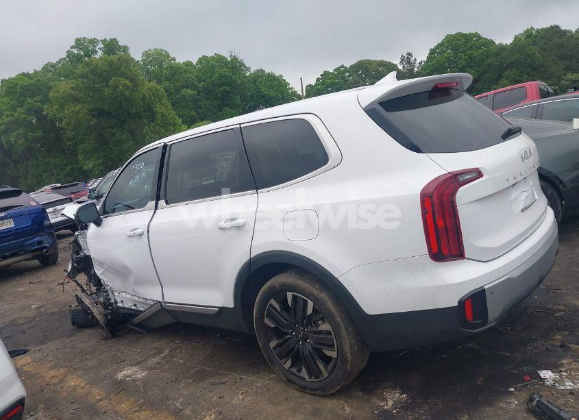 Photo 14 of 2024 Kia Telluride LX (VIN 5XYP24GC1RG411138)