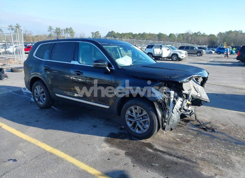 2024 Kia Telluride LX (VIN 5XYP24GC1RG539606) main photo
