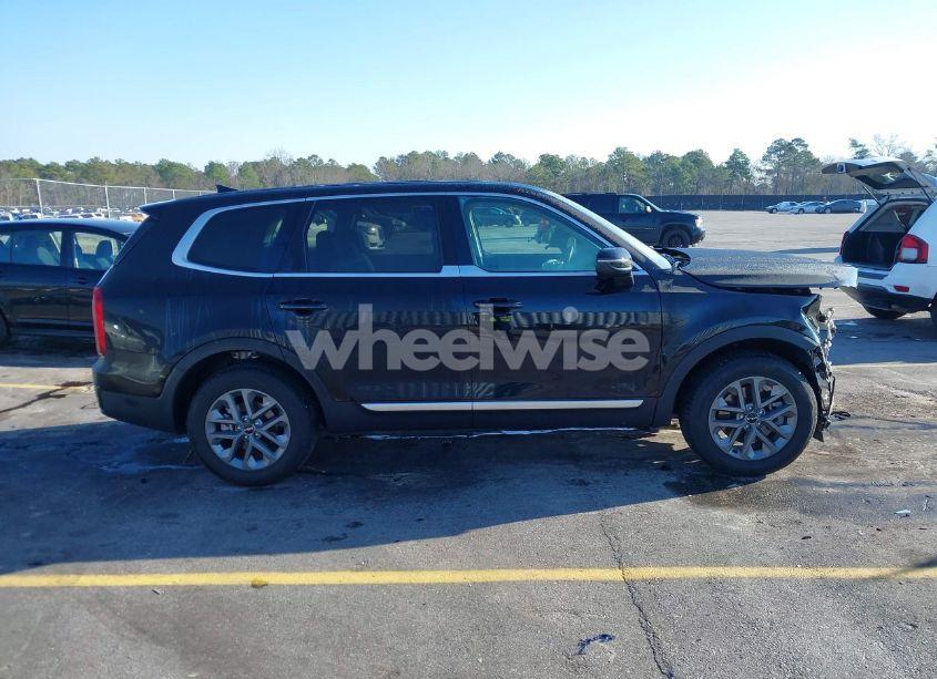 Photo 13 of 2024 Kia Telluride LX (VIN 5XYP24GC1RG539606)