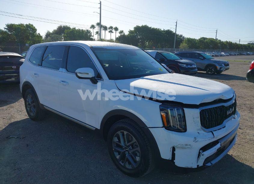 2024 Kia Telluride LX (VIN 5XYP24GC3RG566211) main photo