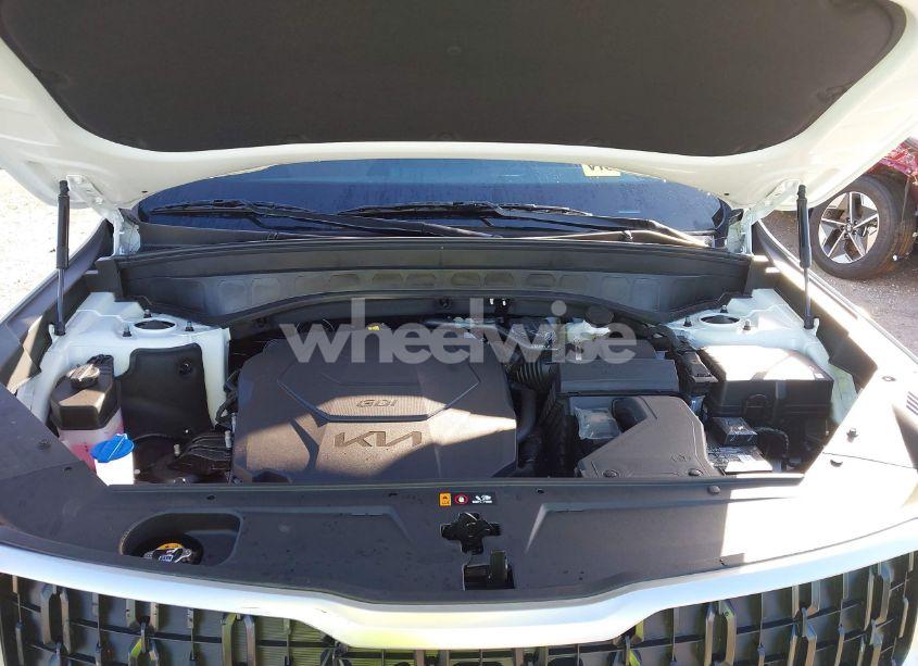 Photo 10 of 2024 Kia Telluride LX (VIN 5XYP24GC3RG566211)