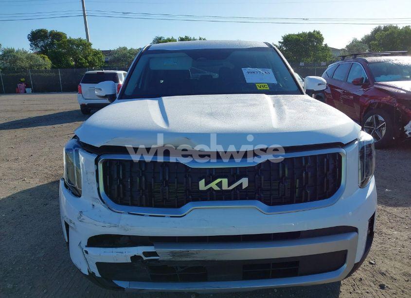 Photo 12 of 2024 Kia Telluride LX (VIN 5XYP24GC3RG566211)