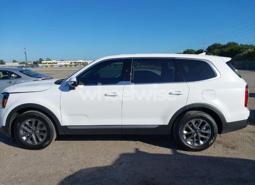 Photo 14 of 2024 Kia Telluride LX (VIN 5XYP24GC3RG566211)
