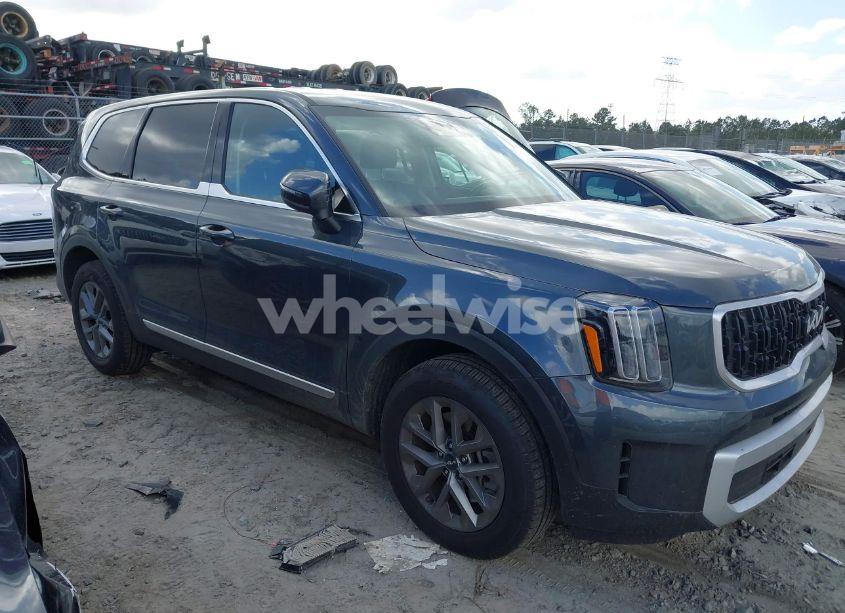 2024 Kia Telluride LX (VIN 5XYP24GC4RG542225) main photo