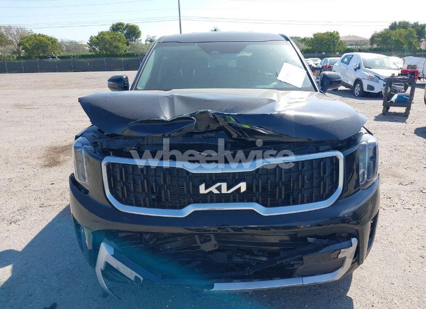 Photo 13 of 2024 Kia Telluride LX (VIN 5XYP24GC6RG482724)
