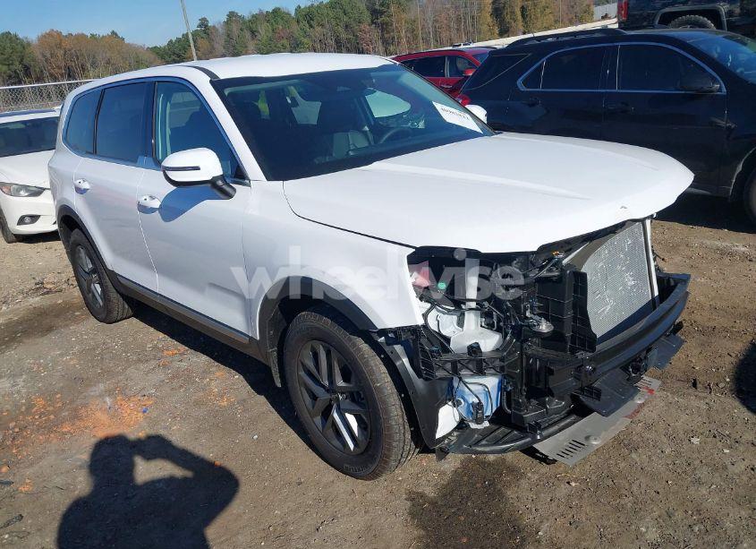 2024 Kia Telluride LX (VIN 5XYP2DGC2RG546595) main photo