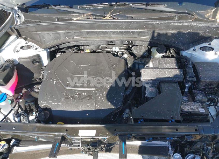 Photo 10 of 2024 Kia Telluride LX (VIN 5XYP2DGC2RG546595)