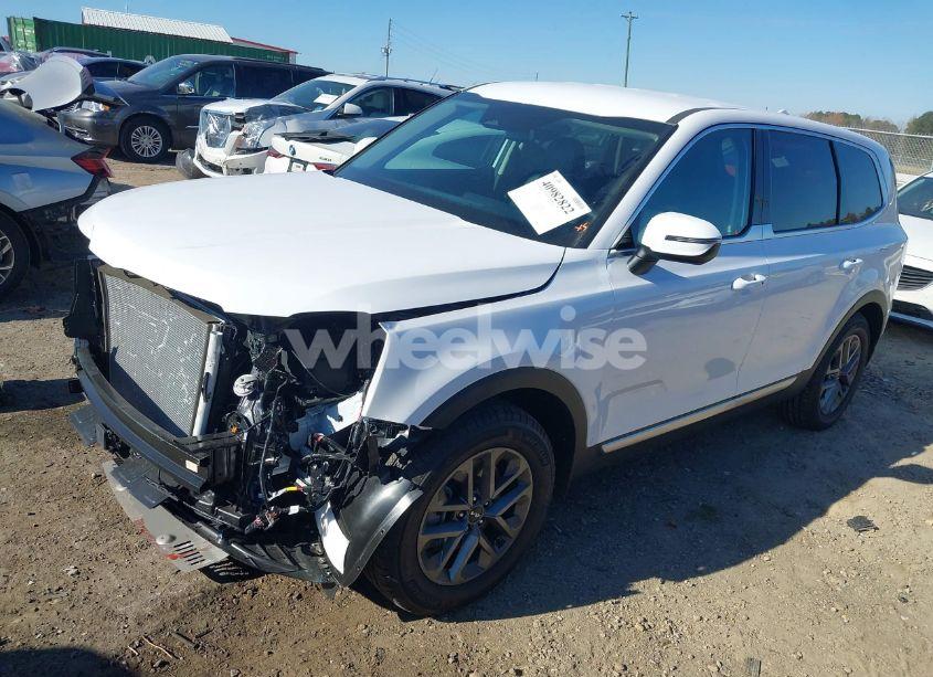 Photo 2 of 2024 Kia Telluride LX (VIN 5XYP2DGC2RG546595)