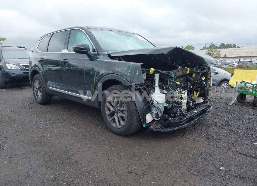 2024 Kia Telluride LX (VIN 5XYP2DGC5RG494993) main photo