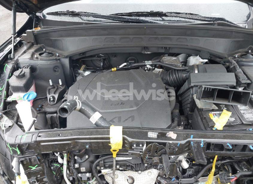 Photo 10 of 2024 Kia Telluride LX (VIN 5XYP2DGC5RG494993)