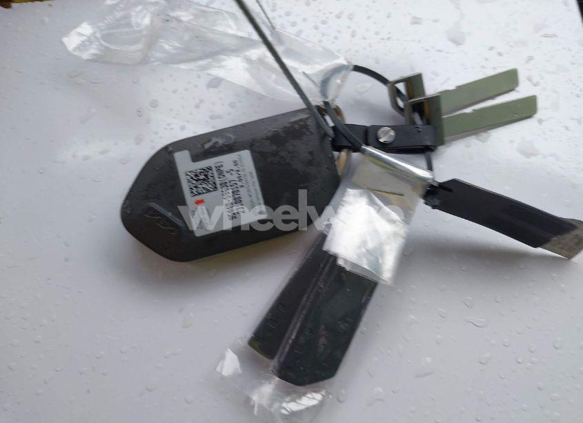 Photo 11 of 2024 Kia Telluride LX (VIN 5XYP2DGC5RG494993)