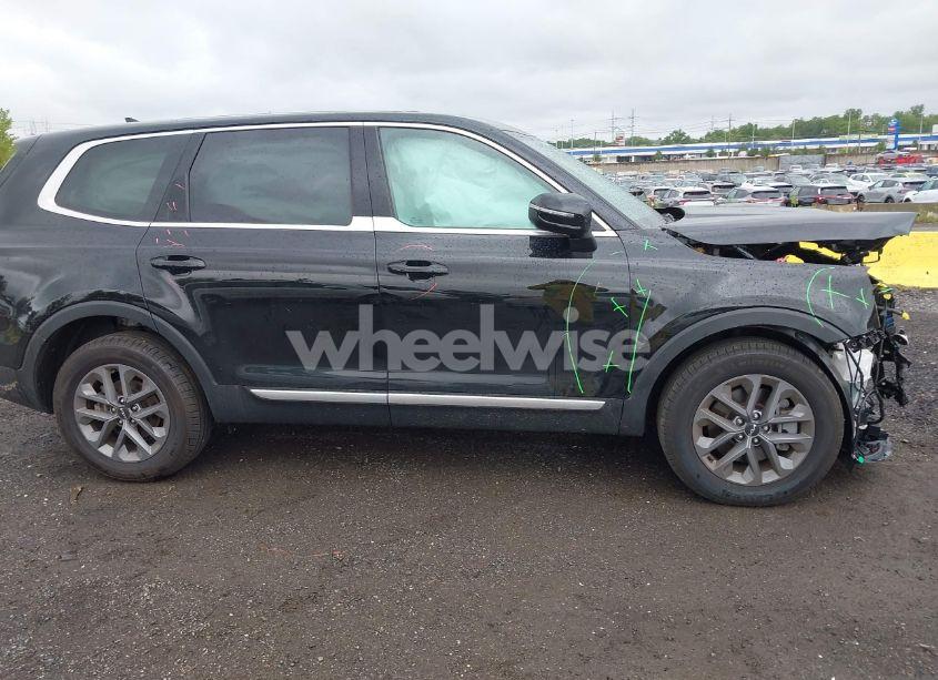 Photo 18 of 2024 Kia Telluride LX (VIN 5XYP2DGC5RG494993)