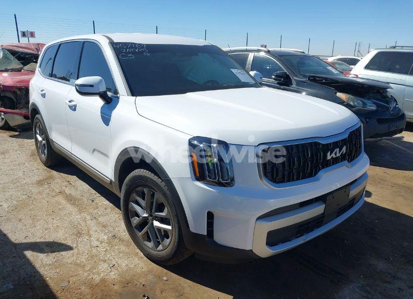 2024 Kia Telluride LX (VIN 5XYP2DGC9RG539661) main photo