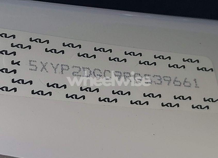 Photo 9 of 2024 Kia Telluride LX (VIN 5XYP2DGC9RG539661)