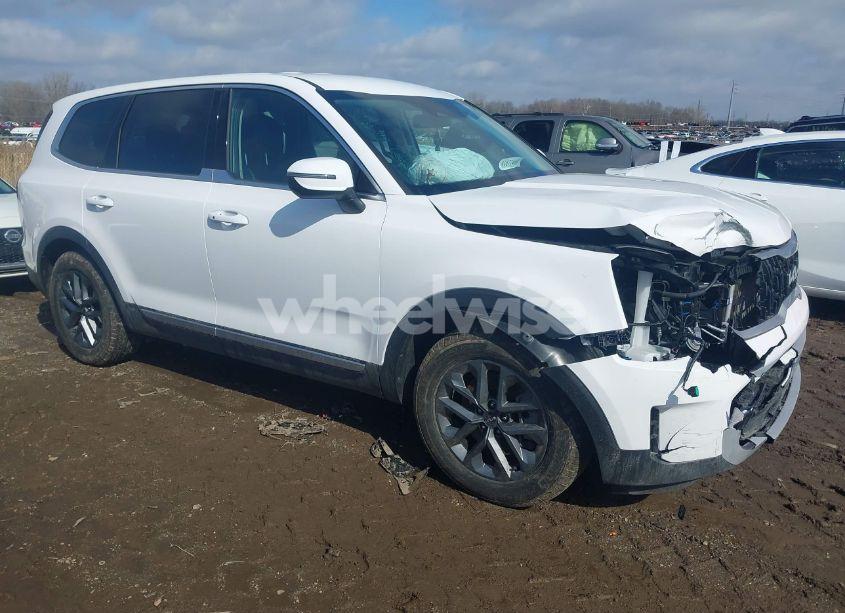 2024 Kia Telluride LX (VIN 5XYP2DGCXRG524893) main photo