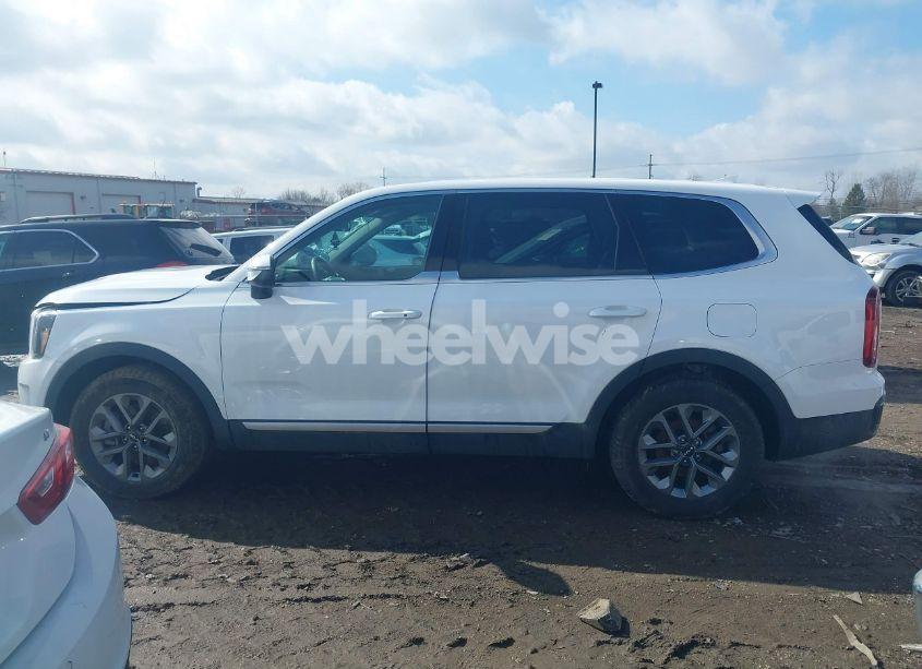 Photo 15 of 2024 Kia Telluride LX (VIN 5XYP2DGCXRG524893)