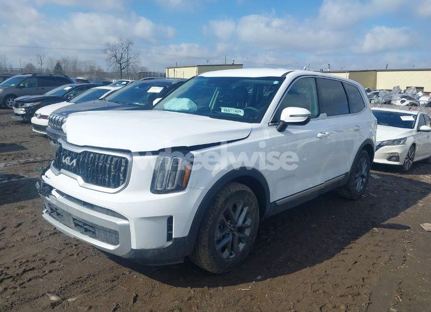 Photo 2 of 2024 Kia Telluride LX (VIN 5XYP2DGCXRG524893)
