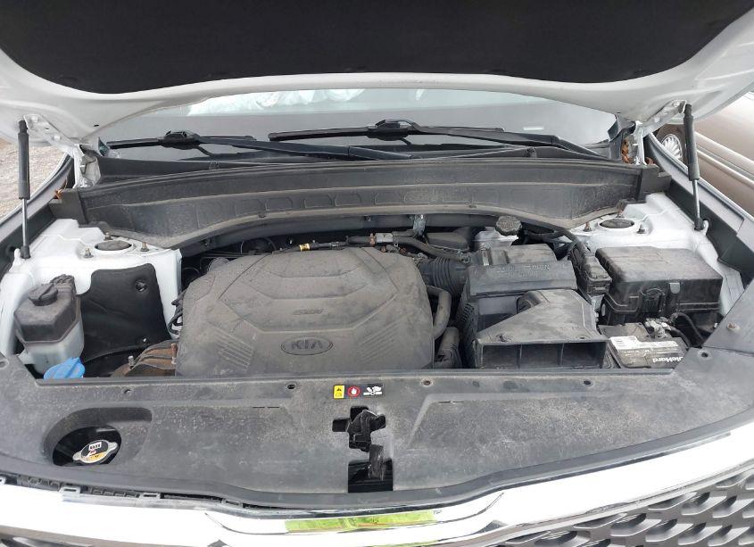 Photo 10 of 2020 Kia Telluride LX (VIN 5XYP2DHC2LG003270)