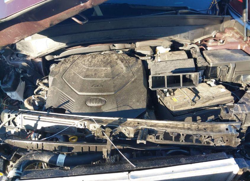 Photo 10 of 2021 Kia Telluride LX (VIN 5XYP2DHC6MG189204)