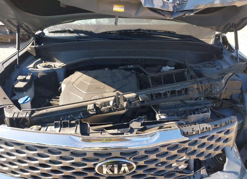 Photo 10 of 2020 Kia Telluride LX (VIN 5XYP2DHC7LG045949)