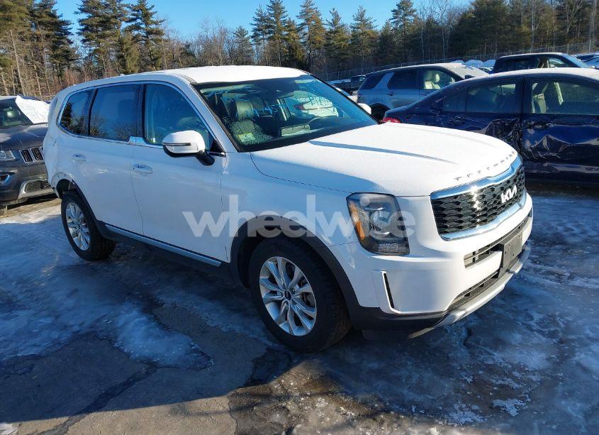 2022 Kia Telluride LX (VIN 5XYP2DHC9NG283319) main photo