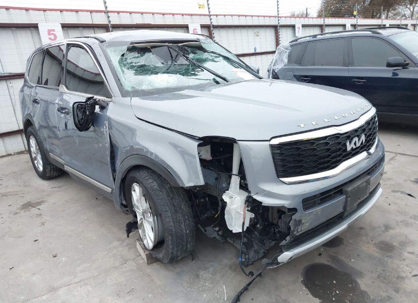 2022 Kia Telluride LX (VIN 5XYP2DHC9NG319557) main photo