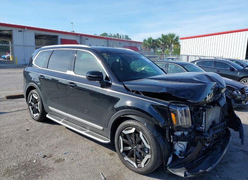 2024 Kia Telluride EX (VIN 5XYP34GC0RG490394) main photo