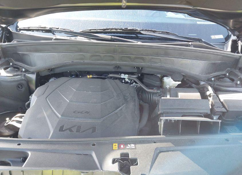 Photo 10 of 2024 Kia Telluride EX (VIN 5XYP34GC0RG490394)