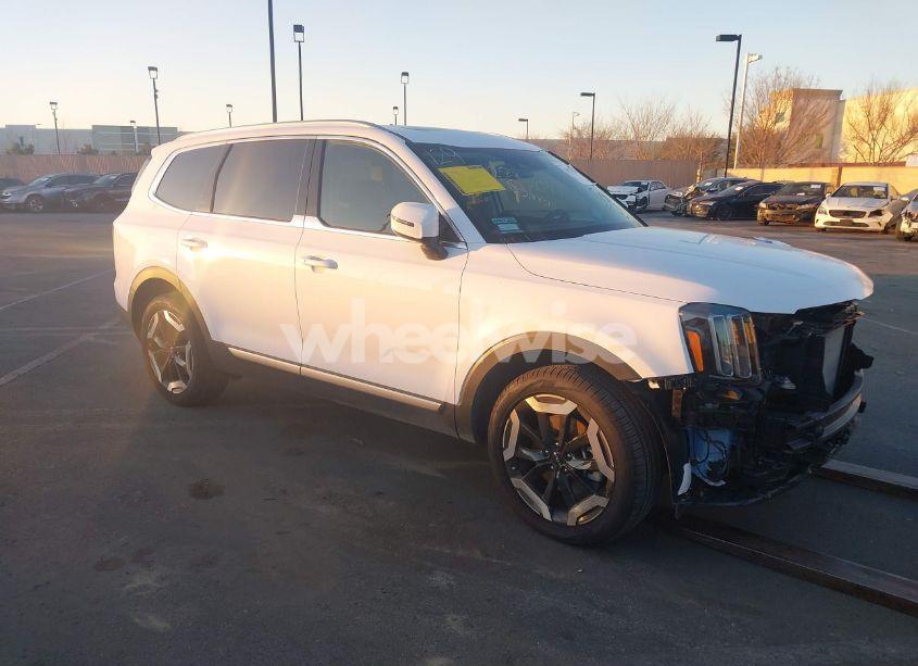 2024 Kia Telluride EX (VIN 5XYP34GC2RG504568) main photo