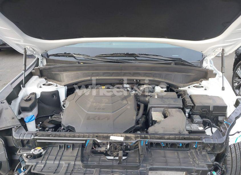 Photo 10 of 2024 Kia Telluride EX (VIN 5XYP34GC2RG504568)