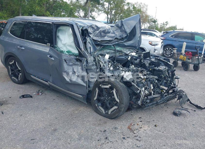 2024 Kia Telluride EX (VIN 5XYP34GC3RG442064) main photo