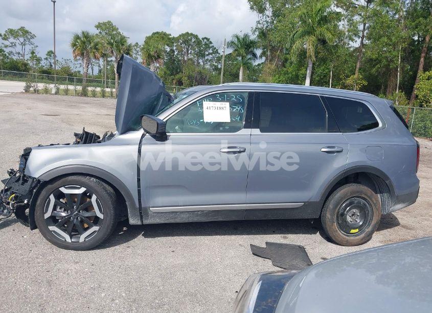 Photo 14 of 2024 Kia Telluride EX (VIN 5XYP34GC3RG442064)