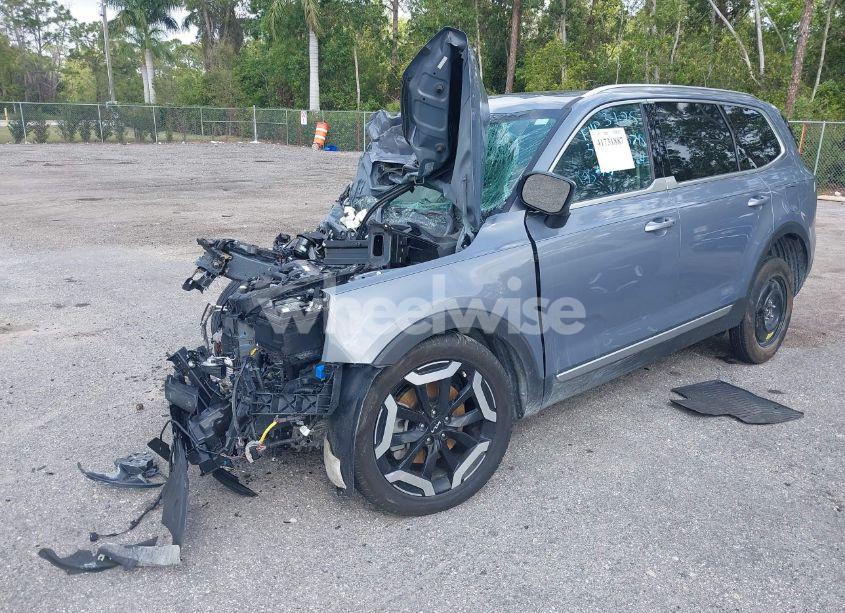 Photo 2 of 2024 Kia Telluride EX (VIN 5XYP34GC3RG442064)