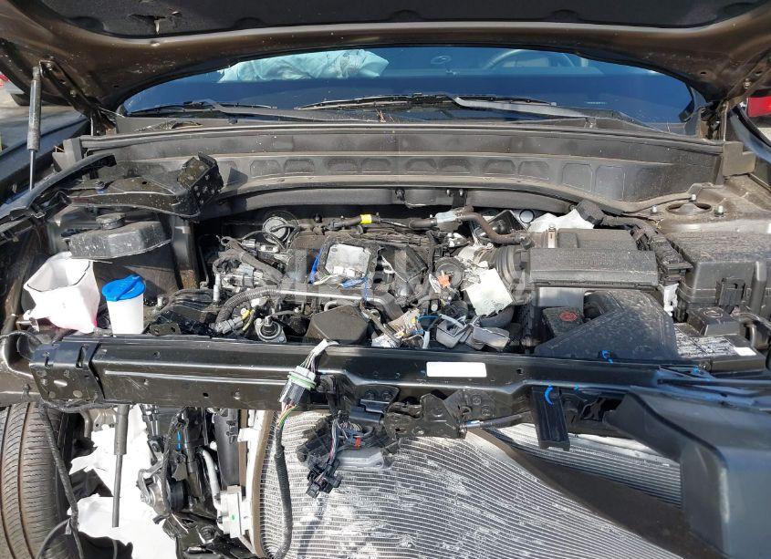 Photo 10 of 2024 Kia Telluride EX (VIN 5XYP34GC3RG521217)